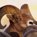 EcoTour Adventures: Rated #1 on TripAdvisor! - Wildlife Guaranteed! Customized educational tours, first class service, small groups, on foot and by roof hatched vehicles with competitive prices.
