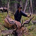 Swift Creek Outfitters - Family owned outfitter for over 23 years - Book now for 2011 hunting season! We specialize in Trophy Elk, horeseback hunts only! 28 Elk Bulls killed in 2010!