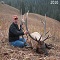 Trophy Mountain Outfitters - Western Wyoming Big Game hunts for Elk, Mule Deer, Moose, Antelope, Mountain Lion & Big Horn Sheep.