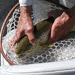 UpStream Anglers & Outdoor Adventures - Professional and Knowledgeable Guides. LOCALLY OWNED by WYOMING NATIVE Greg Falk. 20 Years Proven Success. FISHING TRIP of a LIFETIME! Great for Families, too!