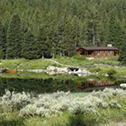 Flat Creek Ranch - #1 on TripAdvisor!