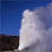 GaperGuide: Fun, Detailed Tour At Your Own Pace! - The most convenient way to learn everything about Grand Teton & Yellowstone Nat'l Parks, from your own car! Voted the easiest, most detailed,& entertaining tour! GPS Enabled.