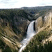 Outdoor Adventures Yellowstone Wolf Safari - LOCALLY OWNED by Wyoming native, Greg Falk. PRIVATE OVERNIGHT WOLF SAFARI in Yellowstone National Park. The BEST WILDLIFE EXPERIENCE! Great for Families! AVAILABLE YEAR-ROUND.