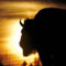 Travel the Rockies: Customized Vacations - Special Rates Now on 2013 Summer vacations! 15 years experience & live in area. Includes daily itinerary, turn-by-turn directions, choice of activities & lodging in Y'stone.