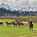 Turpin Meadow Ranch - your legacy begins here - Our historic ranch received extensive renovations in 2013, restoring classic character w/modern upgrades. Teton views are still unhindered, for a vacation you won't forget.