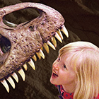 Believe it or Not! - Ripley's Museum