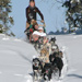 Continental Divide Dog Sled Adventures - Day trips & half-day trips into the Teton & Shoshone Nat'l Forests. Snowshoe/Dogsled and Snowmobile/Dogsled combos. Overnight yurt & lodge trips, too!