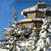 Lodge at Jackson Fork - all inclusive year-round - Midway between Pinedale and Jackson Hole, our unique facility captures the essence of luxury, local history, fine dining, access to great fly fishing and warm comfort.