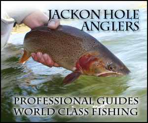 Jackson Hole Anglers - When it comes to fishing Jackson Hole regional waters, we are the experts! Full & 1/2 day trips on the Snake, Green, New Fork and Salt Rivers. Book now for summer 2013!