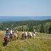 Beard Mountain Ranch Outfitters - Wyoming horseback riding & pack trips near Jackson Hole, Grand Teton National Park, & Yellowstone National Park. Enjoy majestic views, fields of wildflowers, wildlife, & more!