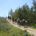 Ace In The Hole Outfitters - Offering guided horseback riding, wilderness pack trips, fishing, and hunting in the Wind River Wilderness. Wyoming's premier outfitter!