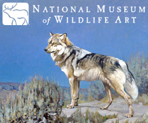 National Museum of Wildlife Art - WIldlife art museum.