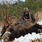 Indian Creek Outfitters - Great success in one of the finest Elk/Mule Deer areas in the West. Moose & Bear hunts also offered.