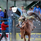 Jackson Hole Rodeo - Authentic Rodeo