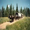 Teton Wagon Train - Venture into the past & relive the experiences of early pioneers who expanded our nations frontiers.