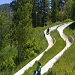 Snow King Resort Alpine Slide - The Alpine Slide winds down Snow King Mountain through 2,500 feet of woods and wildflowers. Ride to the top by chairlift. Great for the entire family!