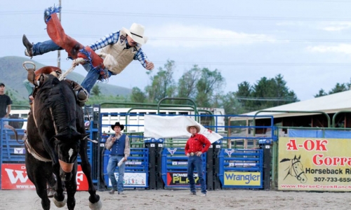 Jackson Hole Rodeo Wyoming