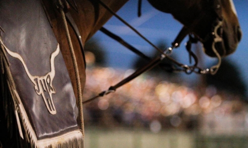 Jackson Hole Rodeo Wyoming