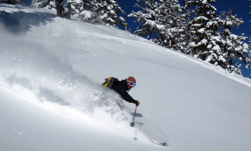 Jackson Hole Ski