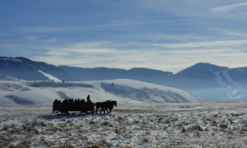 Jackson Hole Sleigh Rides Elk Refuge