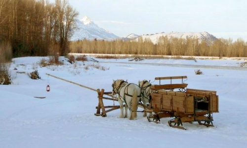 Jackson Hole Wyoming Sleigh Rides
