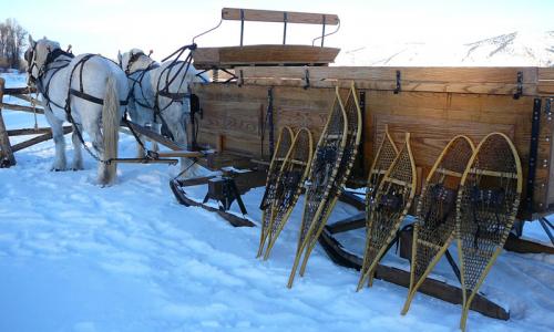 Snowshoe Tour and Sleigh Ride