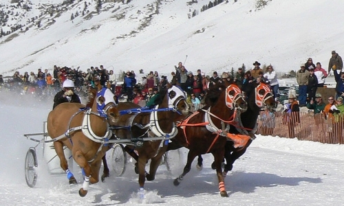 Cutter Races in Jackson Wyoming