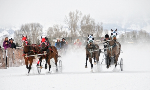 Cutter Races in Jackson Wyoming