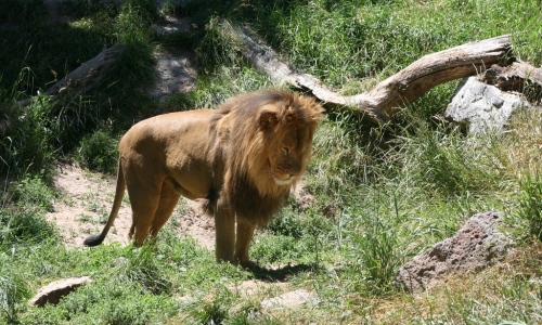 Idaho Falls Zoo