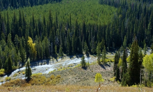 Hoback River near Bondurant