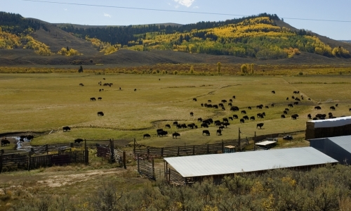 Bondurant WY