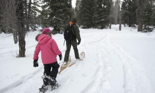 Snowshoeing Grand Teton National Park Ranger Program Wyoming Winter