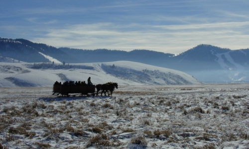 National Elk Refuge Jackson Hole