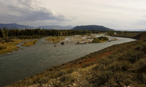 Snake River near Moose Wyoming