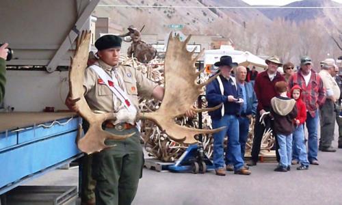 Elk Fest and Antler Auction in Jackson Wyoming