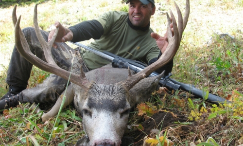 Hunting Jackson Wyoming Deer