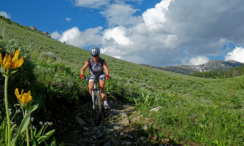Jackson Hole Wyoming Mountain Biking