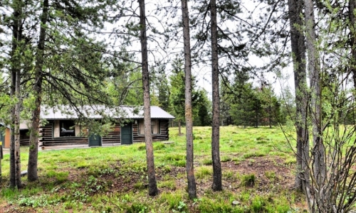 Colter Bay Cabins