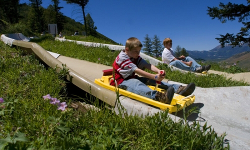 Jackson Hole Family Vacations Alpine Slide