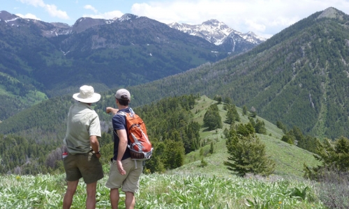 Hiking Trail Jackson Hole Wyoming Hikers Hike