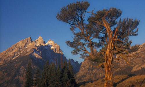 Teton Mountain Range WY