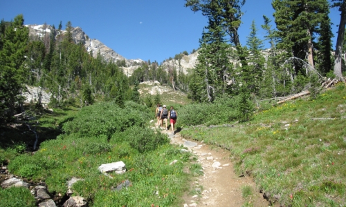 Paintbrush Canyon Grand Teton National Park Hiking Trail Wyoming