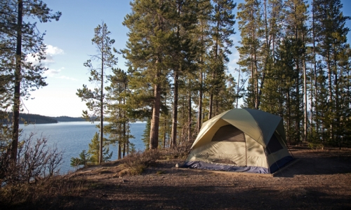 Jackson Hole Activities Camping