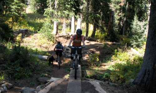 Jackson Hole Activities Mountain Biking
