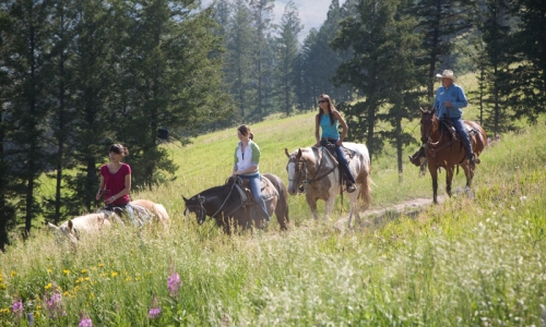 Jackson Hole Tours Horseback Riding