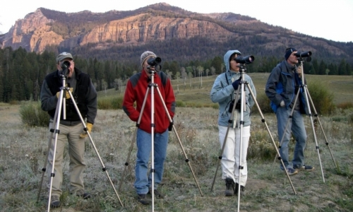 Jackson Hole Tours