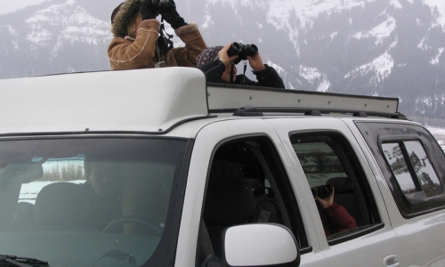 Sightseeing Binoculars Yellowstone National Park Tour