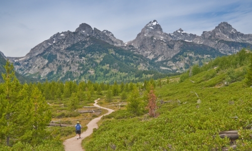 Jackson Hole Hikes