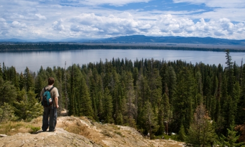 Jackson Hole Hiking Jenny Lake Trail