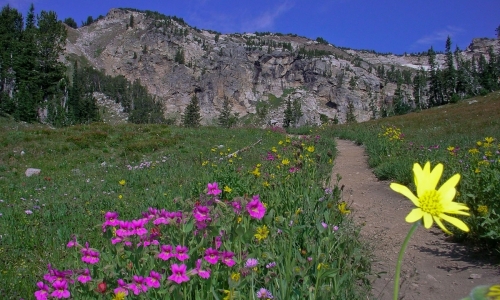 Jackson Hole Hiking Teton Crest Trail